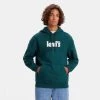 Εκπτωση ✔️ Φούτερ Levi's T2 Relaxed Graphic Ανδρικό Φούτερ GREENS 🤩 1 Εκπτωση ✔️ Φούτερ Levi's T2 Relaxed Graphic Ανδρικό Φούτερ GREENS 🤩 -chilly-s Εκπτώσεις levis relaxed graphic po core poster